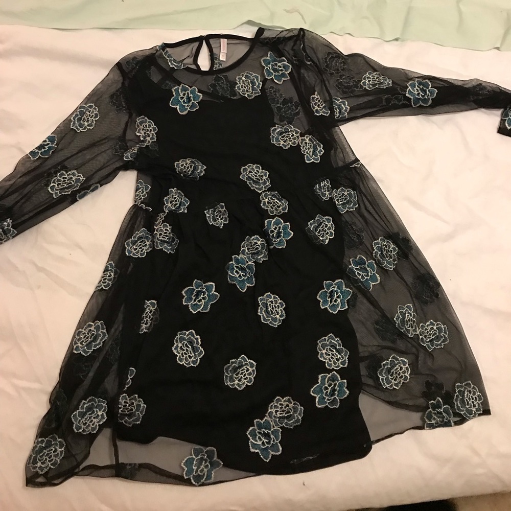 Long Sleeve Mesh dress